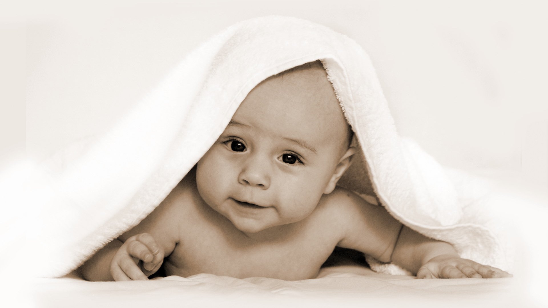 温州捐卵机构试管婴儿 卵泡